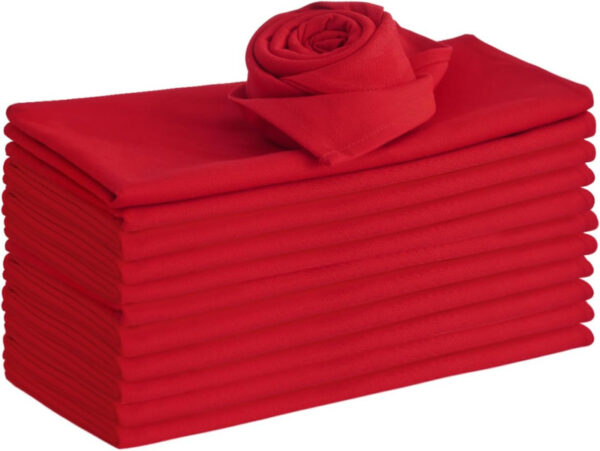 Servirten_10_1 Servietten Eventdeko.de